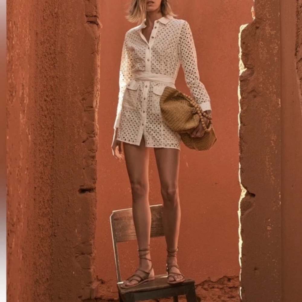 Zara embroidered detail button down dress